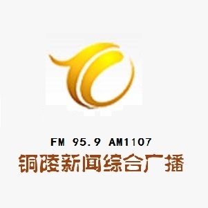 铜陵新闻综合广播 LOGO